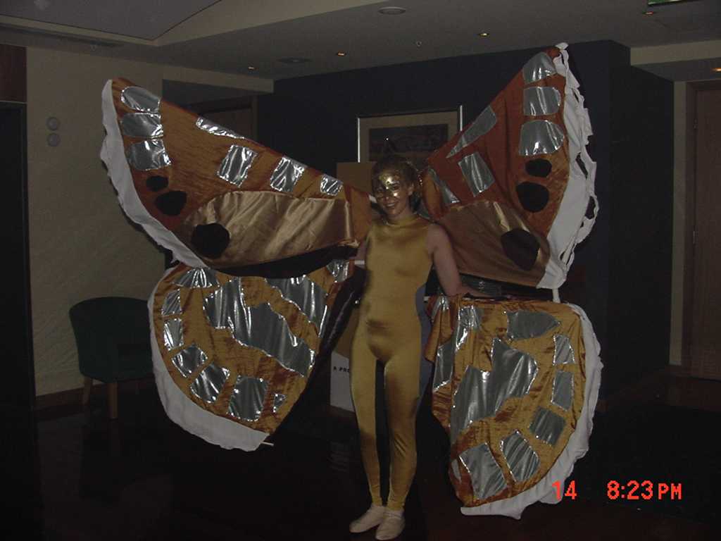 Western Jewel Butterfly Costume